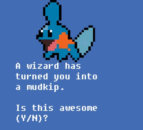 Images Of Mudkip