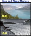 Muir Glacier - global-warming-prevention photo