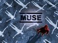 muse - Muse wallpaper