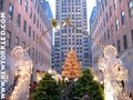 NY Tree - christmas photo
