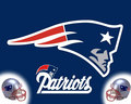 New England Patriots - new-england-patriots photo