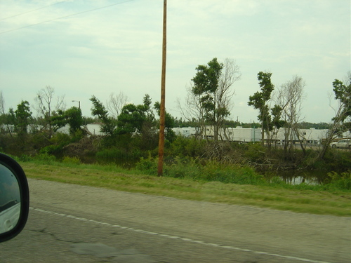 New Orleans Area 2006