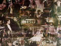 one-tree-hill - One Tree Hill Wallpapers wallpaper