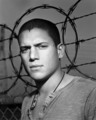 PB-Michael Scofield - prison-break photo