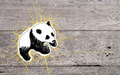 pandas - Panda wallpaper wallpaper