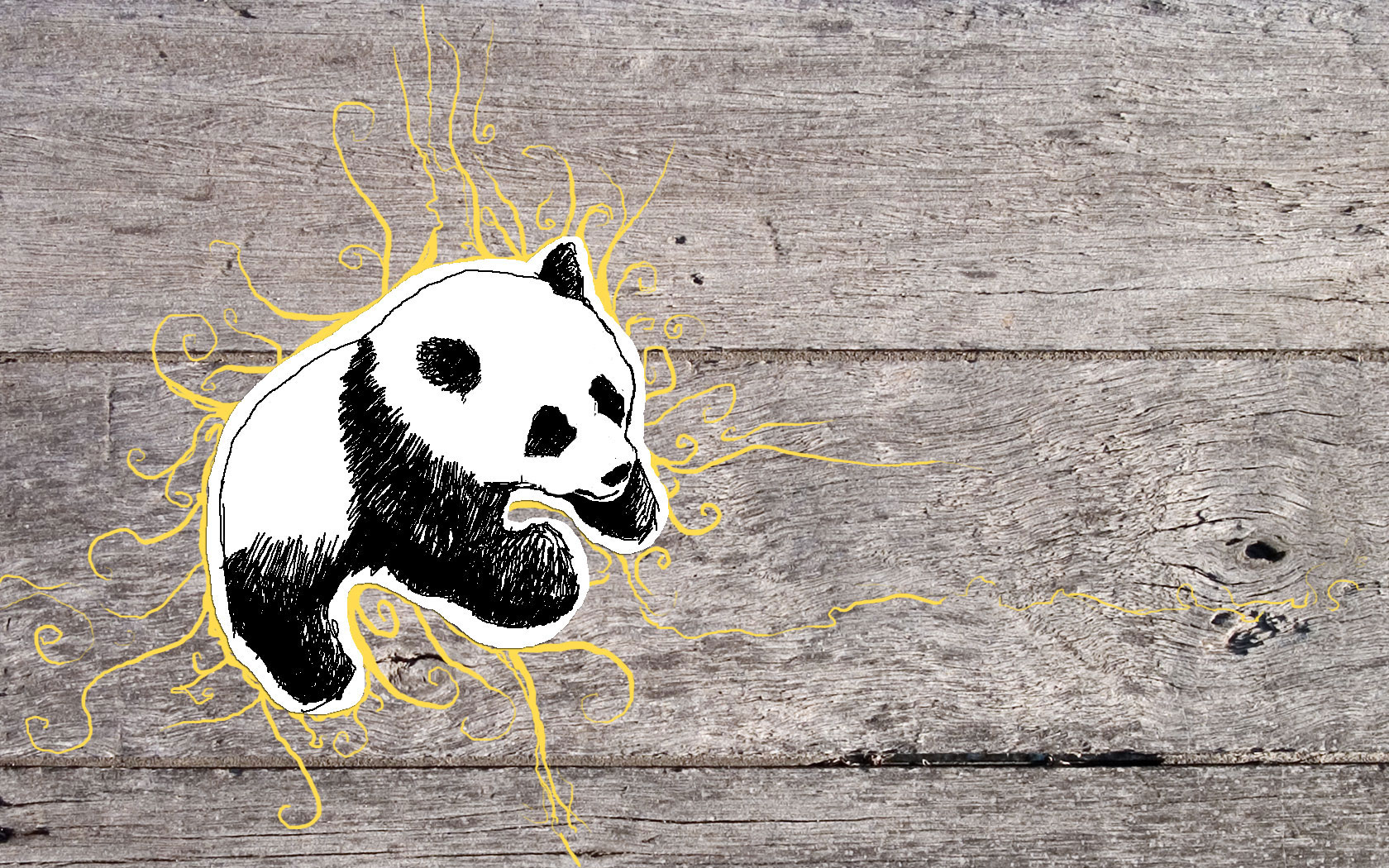 Panda wallpaper - Pandas 1680x1050 1440x900 1280x800