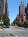 Park Avenue - new-york photo