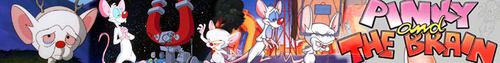  Pinky and the Brain Banner