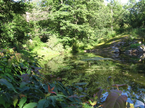  Pond in Park in Turku