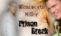 Prison Break - prison-break photo