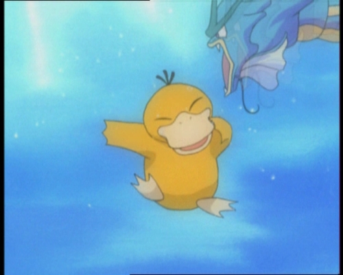 Psyduck images