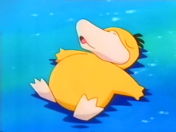  Psyduck pictures