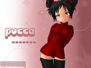  Pucca アニメ