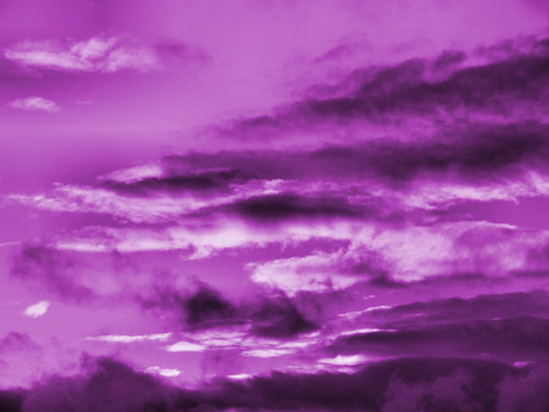  Purple hình nền