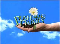 Pushing Daisies