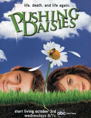  Pushing Daisies