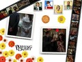 tv-couples - Pushing Daisies wallpaper