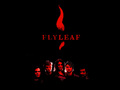 flyleaf - Red/Black wallpaper