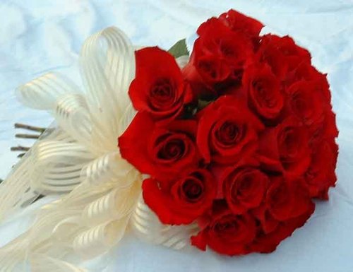  Red Розы