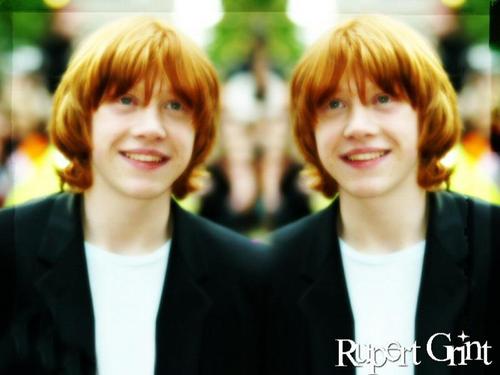  Rupert দেওয়ালপত্র