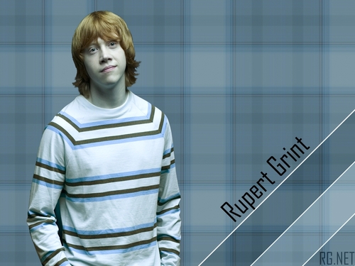  Rupert fond d’écran