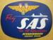 SAS - air-travel icon