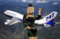 SMINTair Adverts - air-travel photo