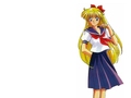 Sailor Moon 8 - sailor-moon wallpaper