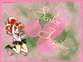 Sailor Moon 8 - sailor-moon wallpaper