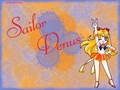 sailor-moon - Sailor Moon 9 wallpaper
