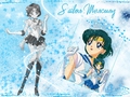 Sailor Moon 9 - sailor-moon wallpaper