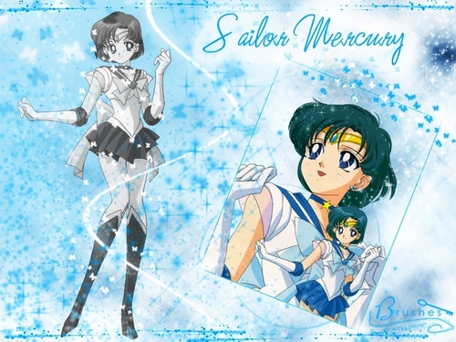  Sailor Moon 9