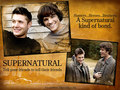 supernatural - Sam And Dean wallpaper