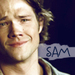 Sammy - sam-winchester icon