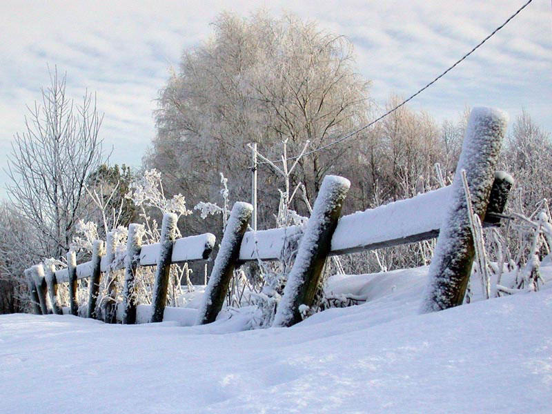 Seinajoki--Finland-winter-219814_800_600.jpg