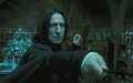 Severus Snape - severus-snape photo