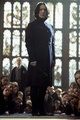 Severus Snape - severus-snape photo