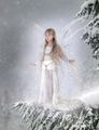 Snow Fairy - fairies photo