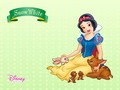 Walt Disney Wallpapers - Princess Snow White - disney-princess wallpaper