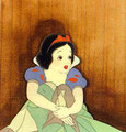 Snow White - snow-white-and-the-seven-dwarfs photo