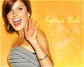 Sophia =) - sophia-bush fan art