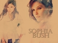 Sophia Bush =) - sophia-bush fan art