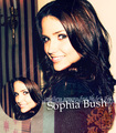 Sophia Bush - one-tree-hill fan art