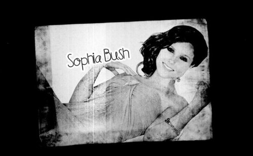  Sophia Bush<333