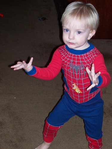Spider - Boy