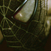 Spider Man - movies icon