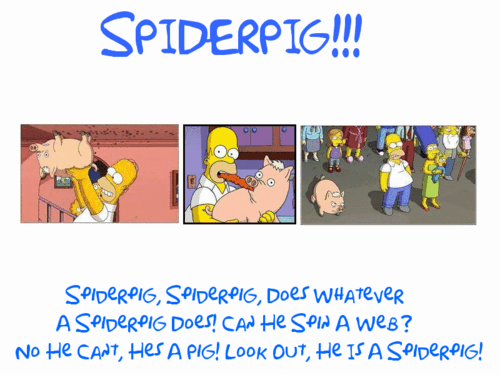  Spiderpig fond d’écran