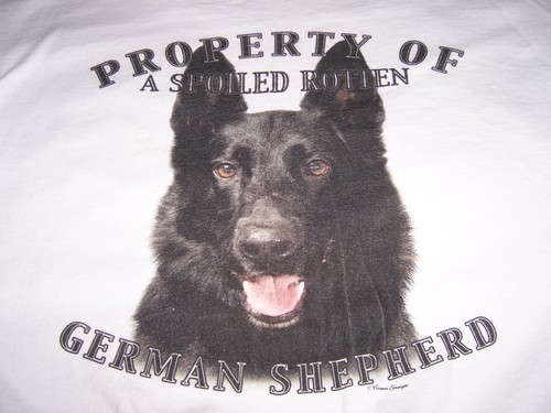  Spoiled German Shepherd