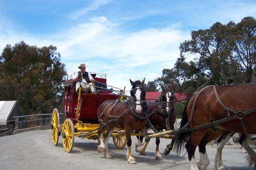 Stagecoach at Sovereign Hill