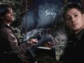 Supernatural Picture - the-winchesters fan art